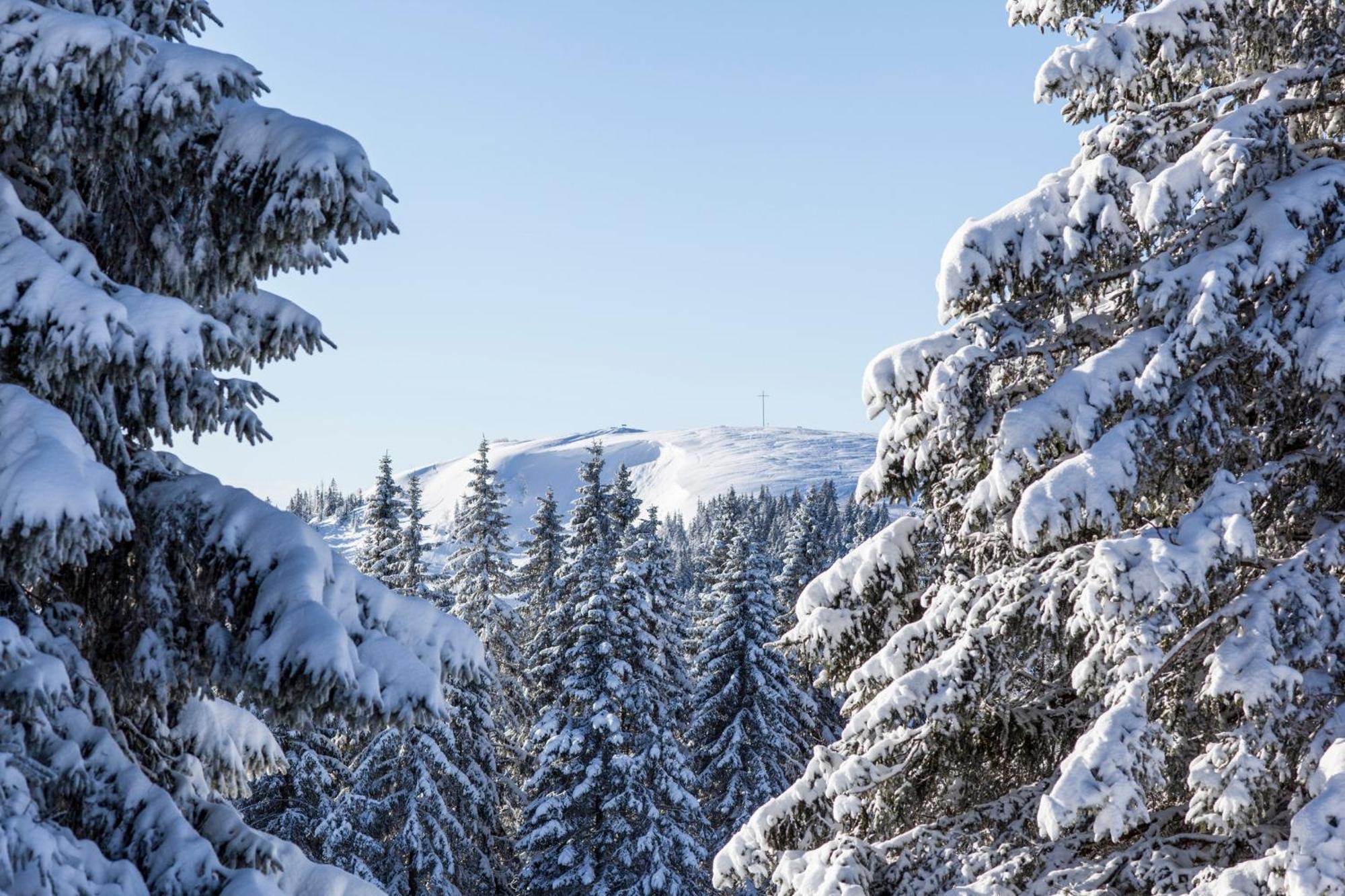 Ferienwohnung Seeblick Nr 5, 2 Zi-Baerental, Feldberg Rotwasser Dış mekan fotoğraf
