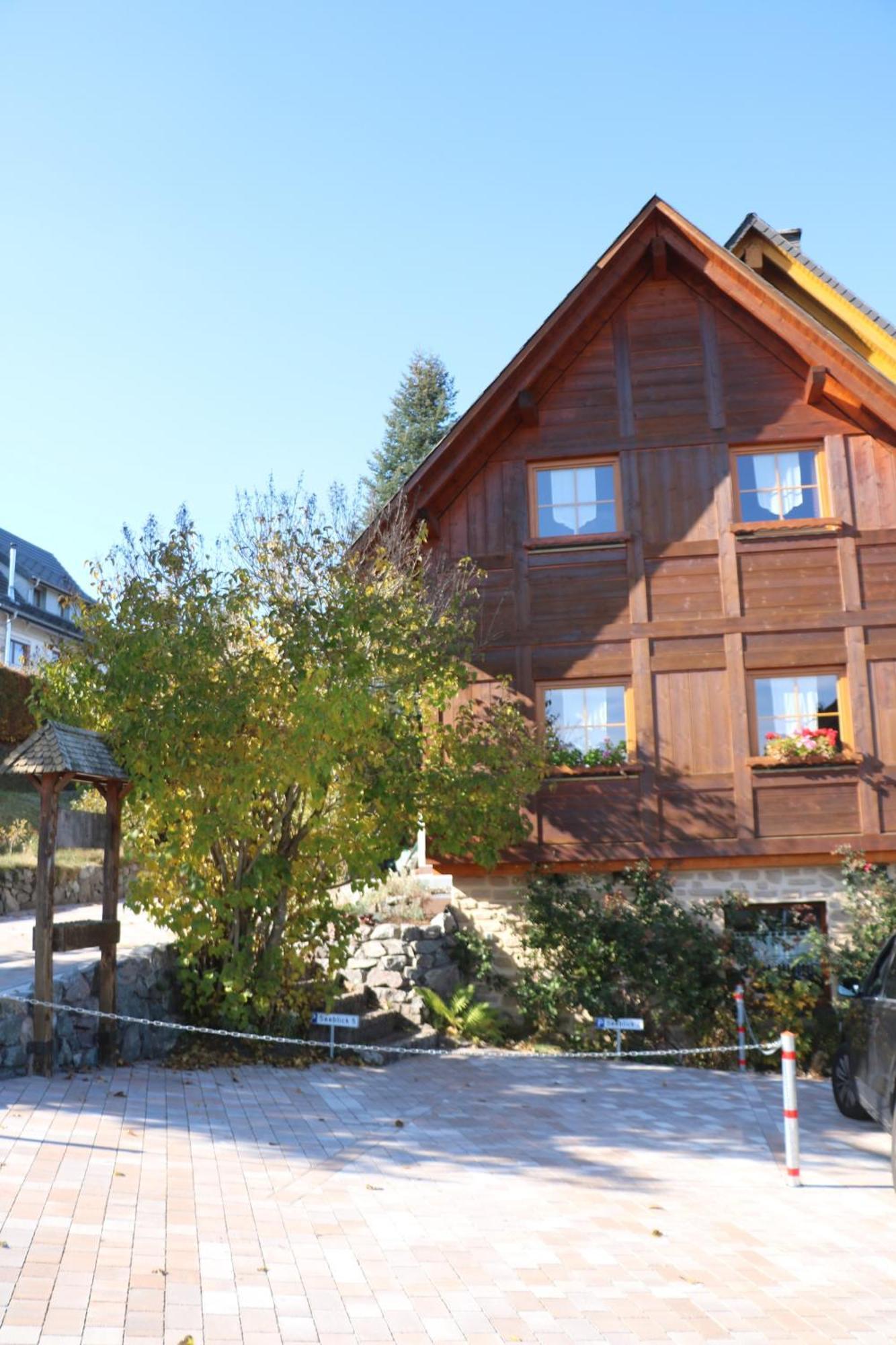 Ferienwohnung Seeblick Nr 5, 2 Zi-Baerental, Feldberg Rotwasser Dış mekan fotoğraf