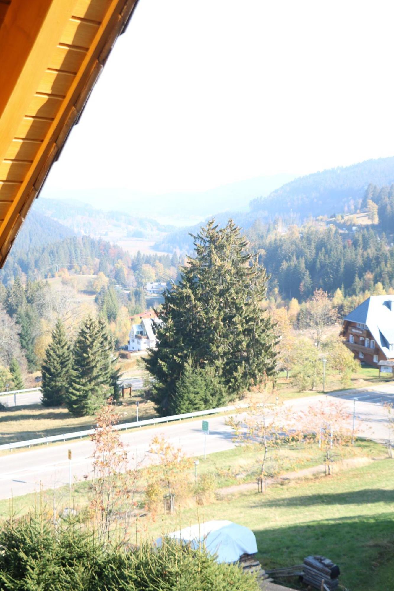 Ferienwohnung Seeblick Nr 5, 2 Zi-Baerental, Feldberg Rotwasser Dış mekan fotoğraf