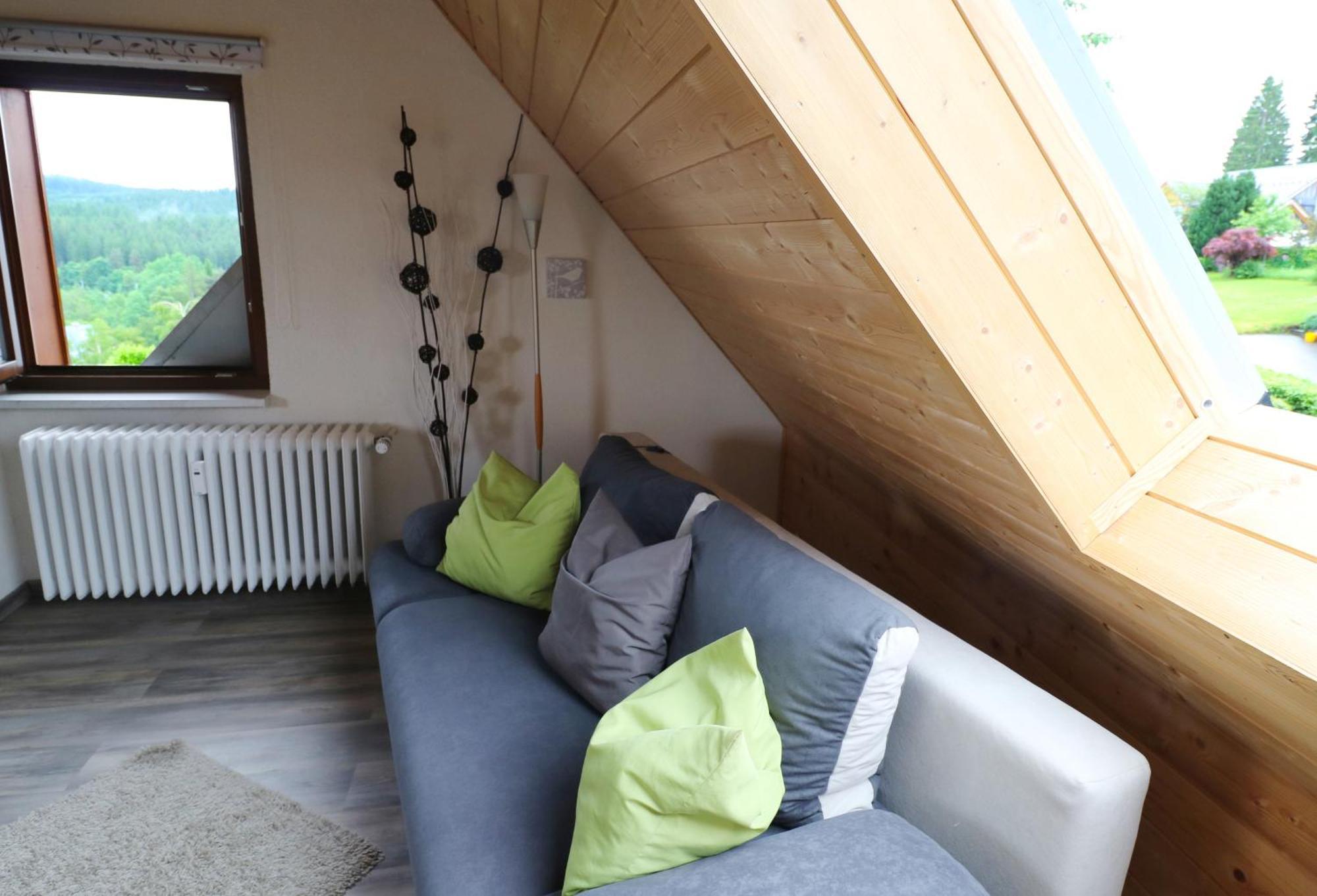 Ferienwohnung Seeblick Nr 5, 2 Zi-Baerental, Feldberg Rotwasser Dış mekan fotoğraf